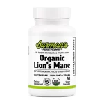 Lions Mane Mushroom (Mycellium & Fruiting body )